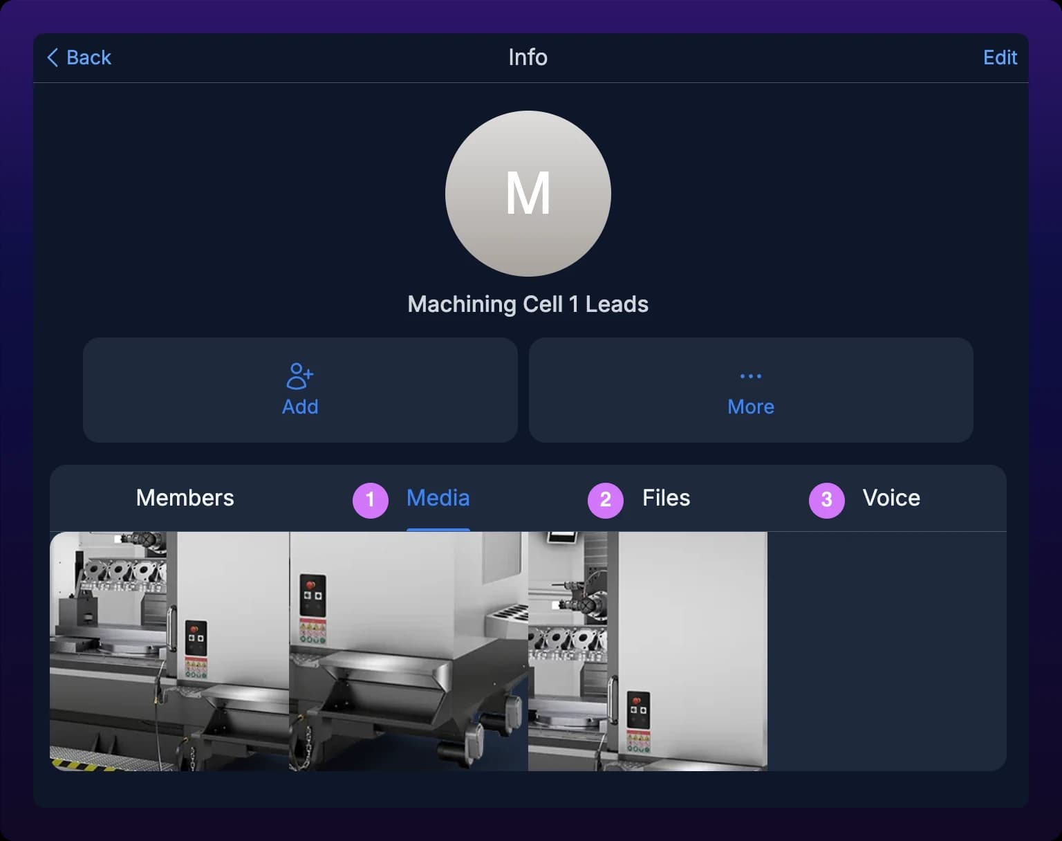 The chat info panel with the Media tab open, showing a grid of shared image thumbnails. Numbered callouts mark the Media, Files, and Voice tabs across the top