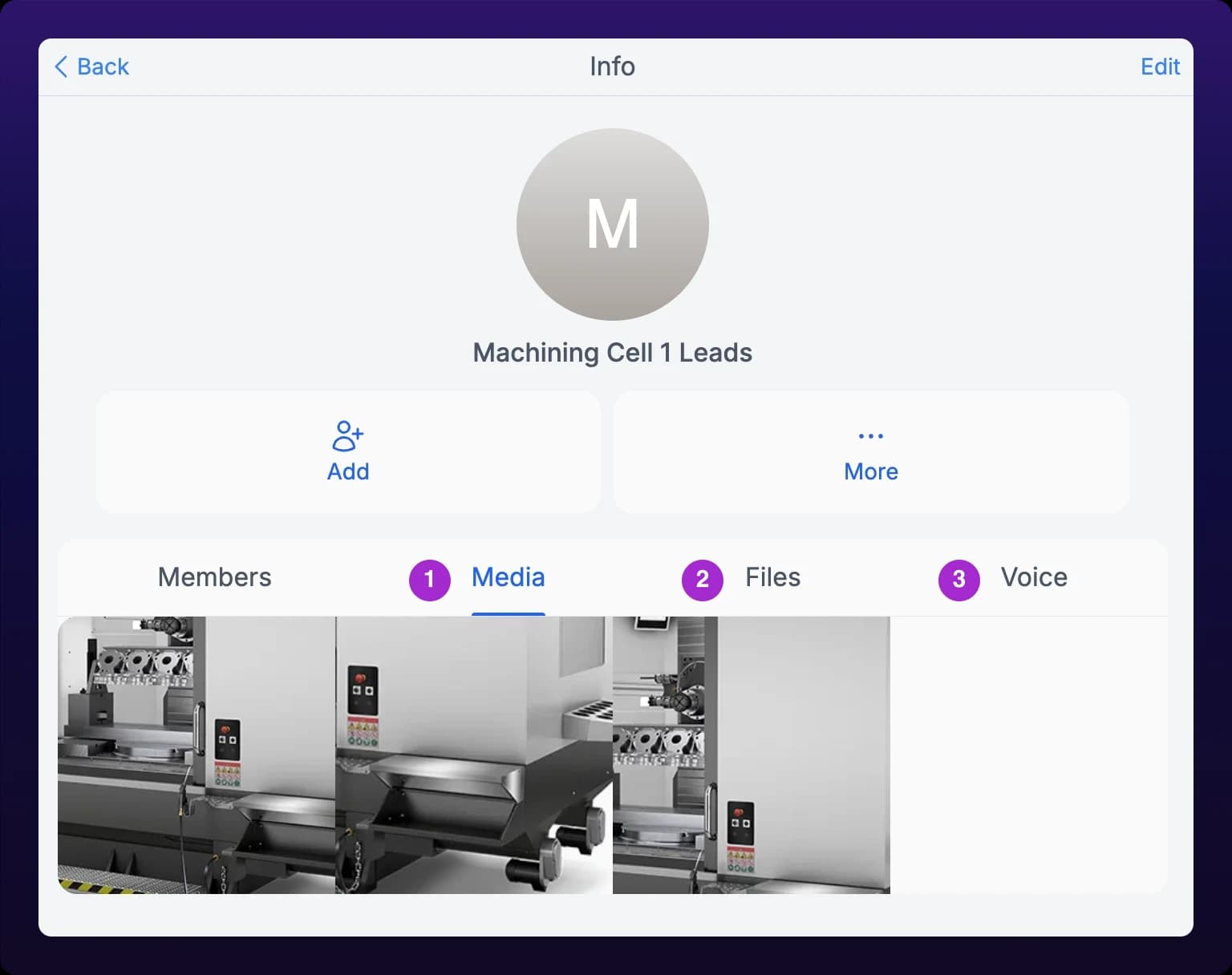 The chat info panel with the Media tab open, showing a grid of shared image thumbnails. Numbered callouts mark the Media, Files, and Voice tabs across the top