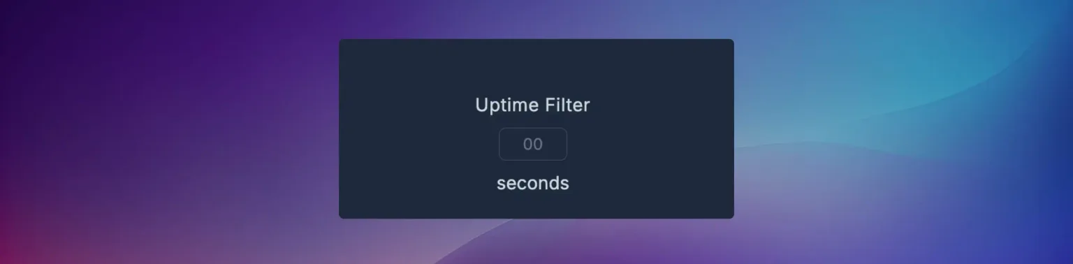 The Uptime Filter control, a small number field with a placeholder of 00 and the word seconds beneath it.
